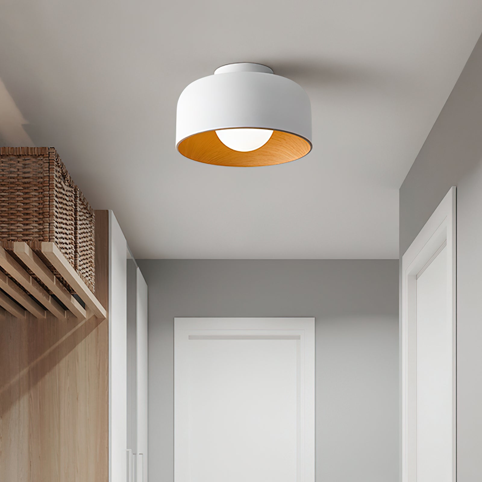 Cayeler Ceiling Light