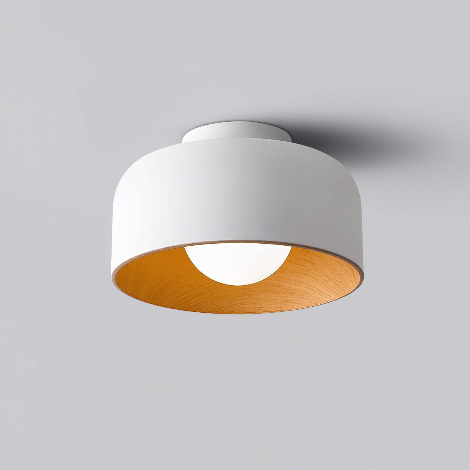 Cayeler Ceiling Light