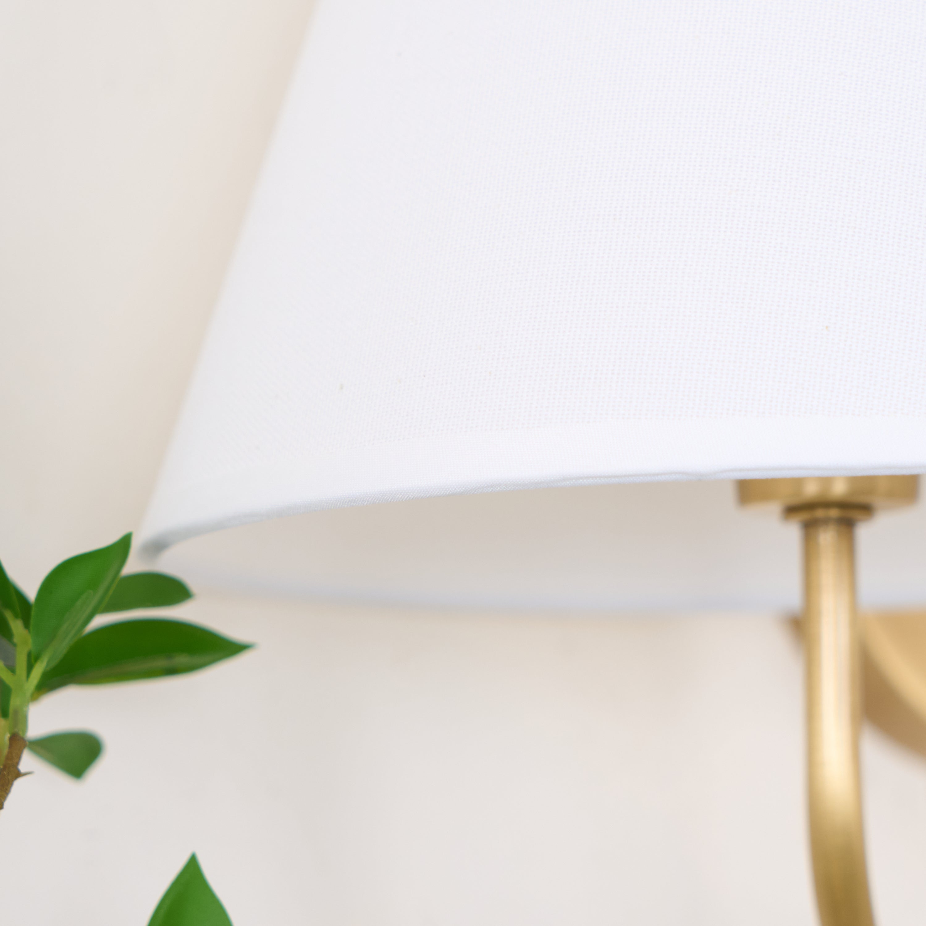 Zelioton Wall Light