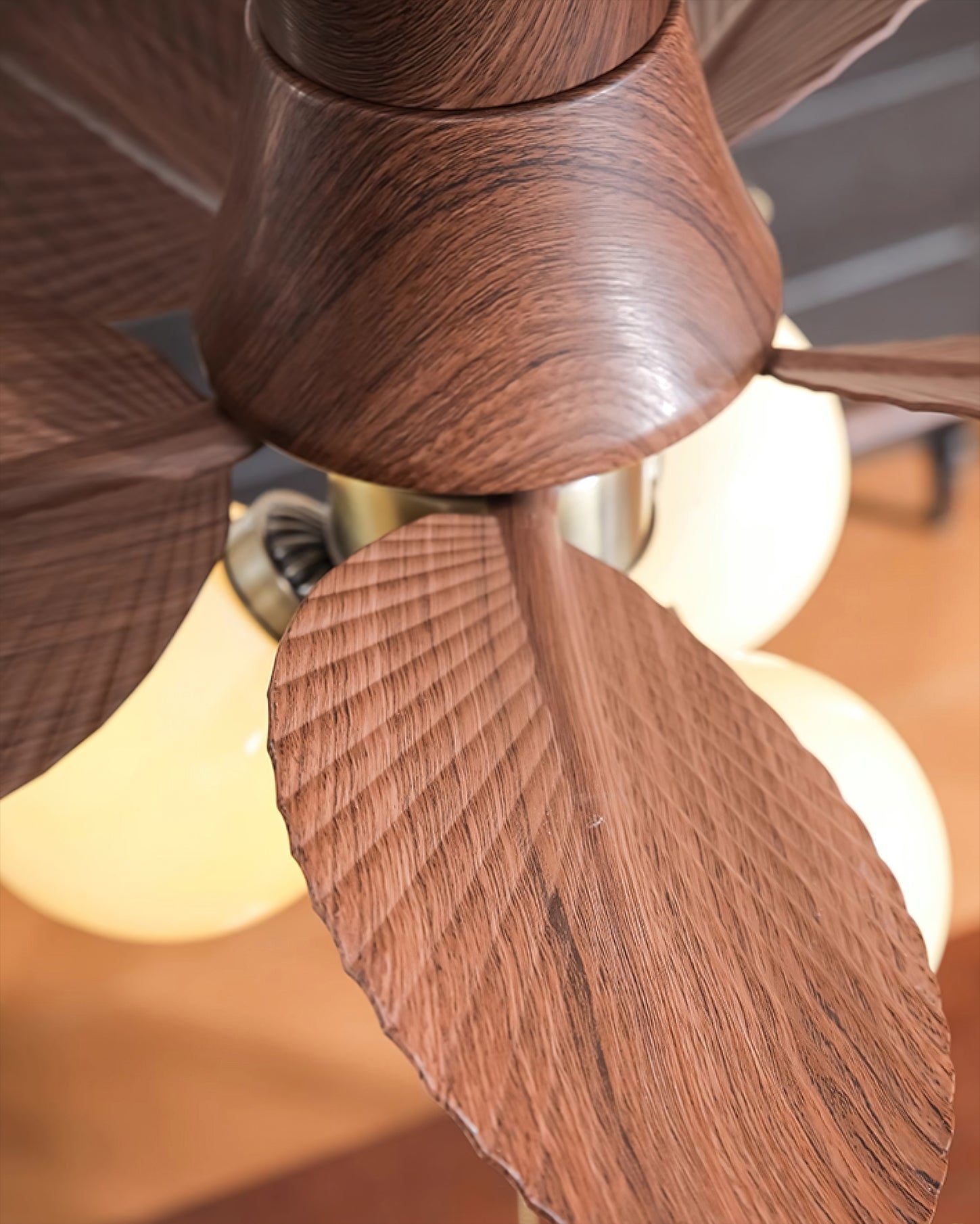 Koalan Ceiling Fan Light