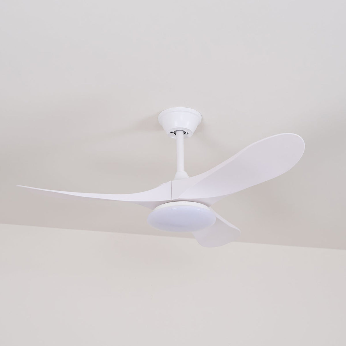 Orenlynko Ceiling Fan Light