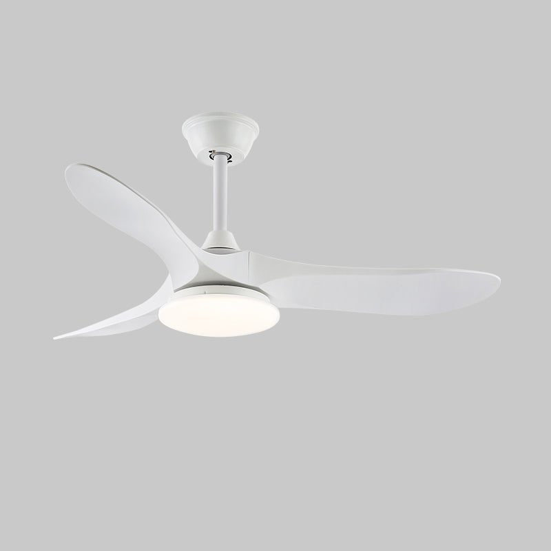 Orenlynko Ceiling Fan Light