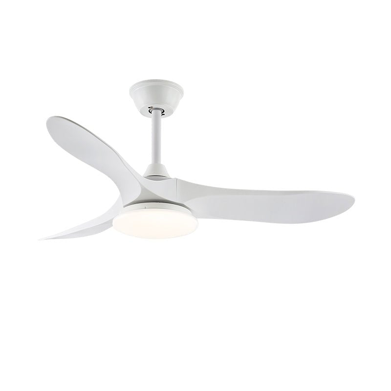 Orenlynko Ceiling Fan Light