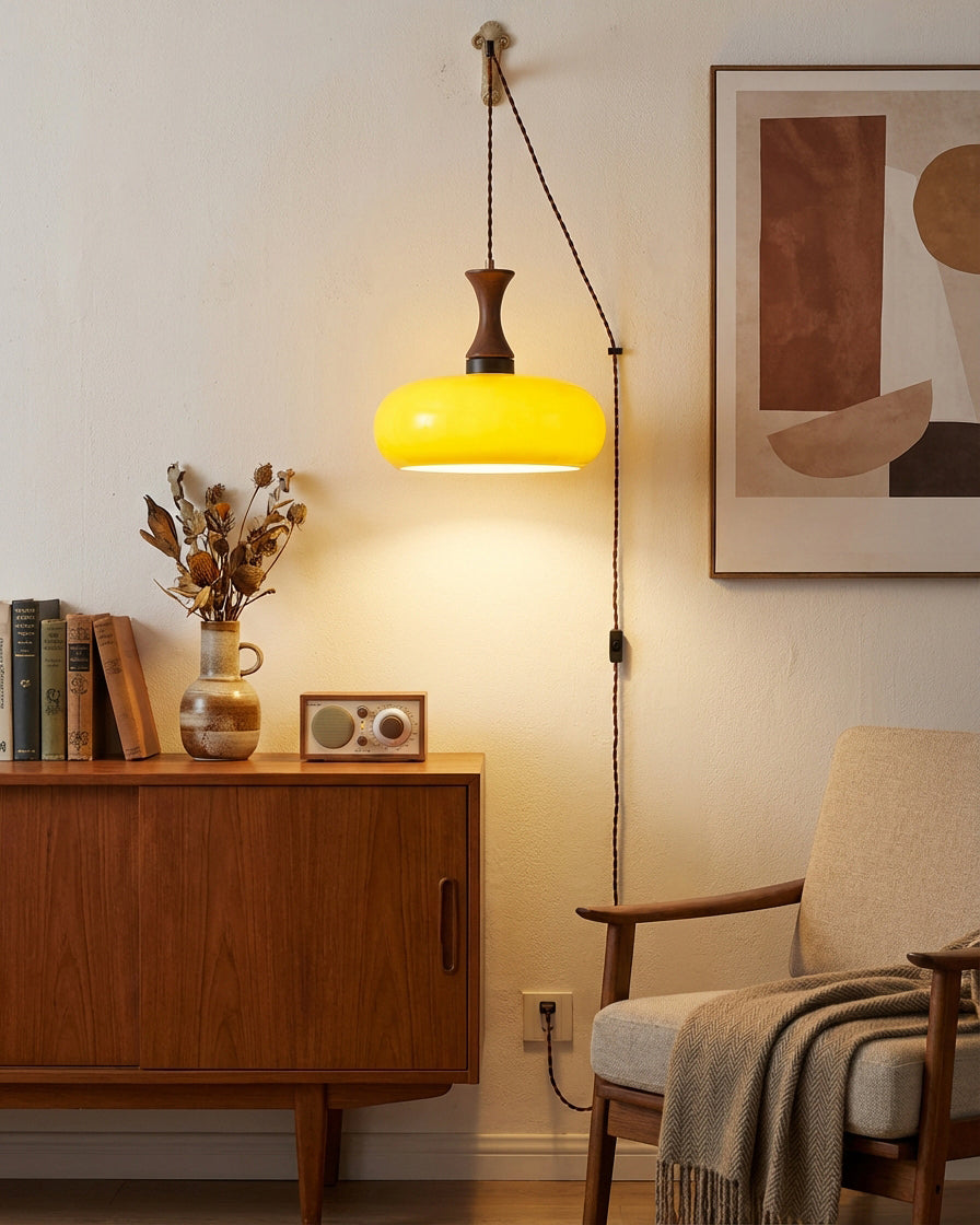 Beler Plug In Pendant Light