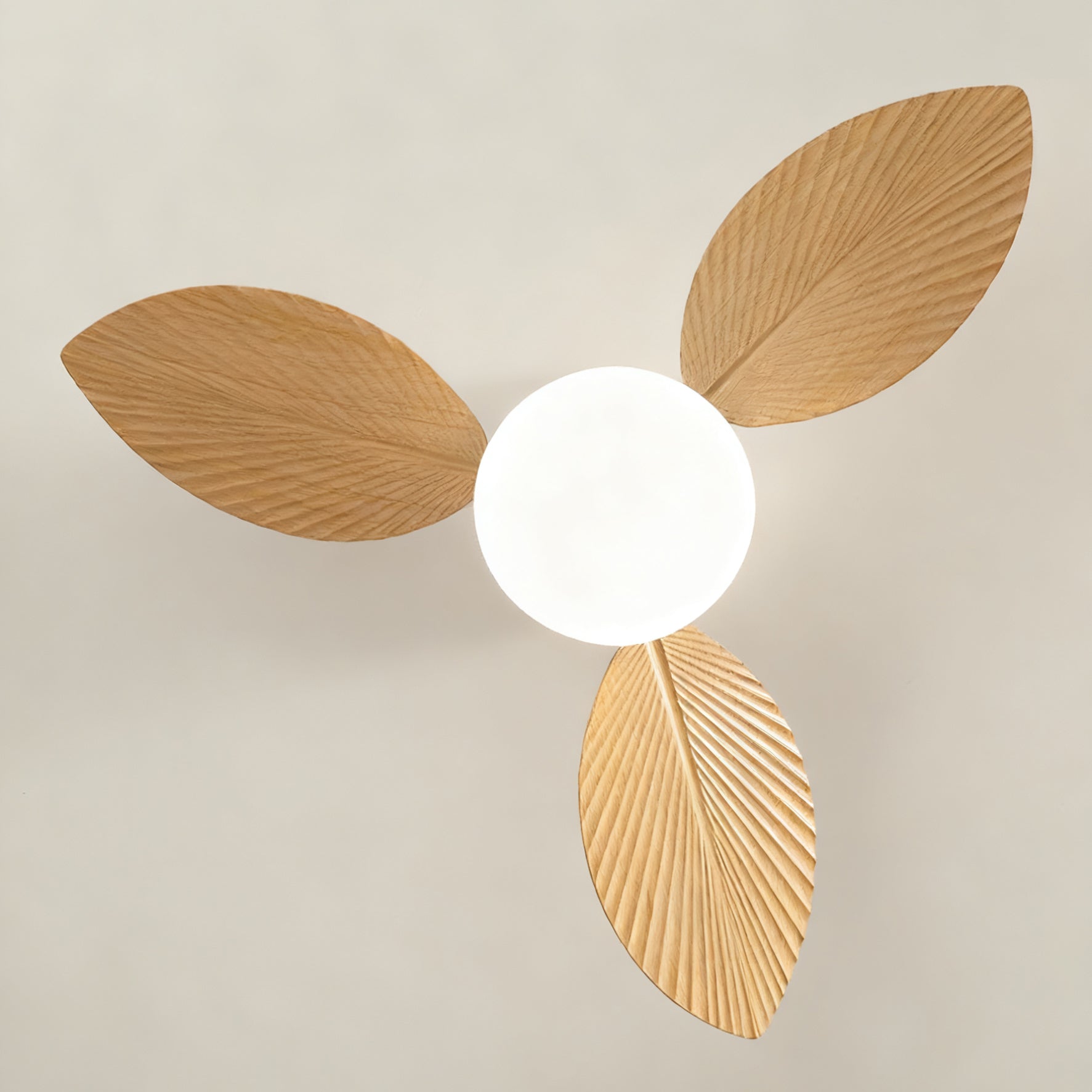 Viroas Ceiling Fan Light