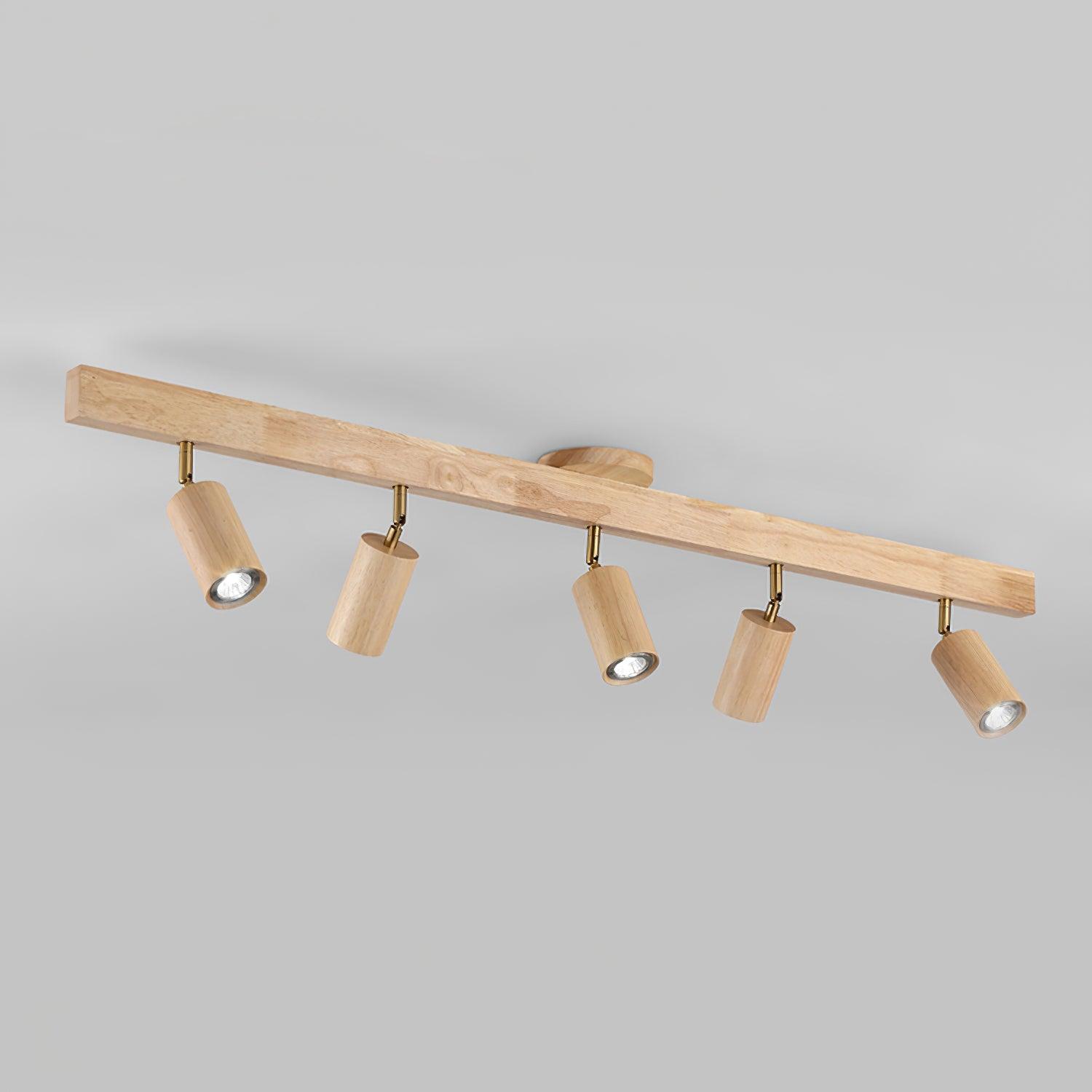 Lorim Track Ceiling Light