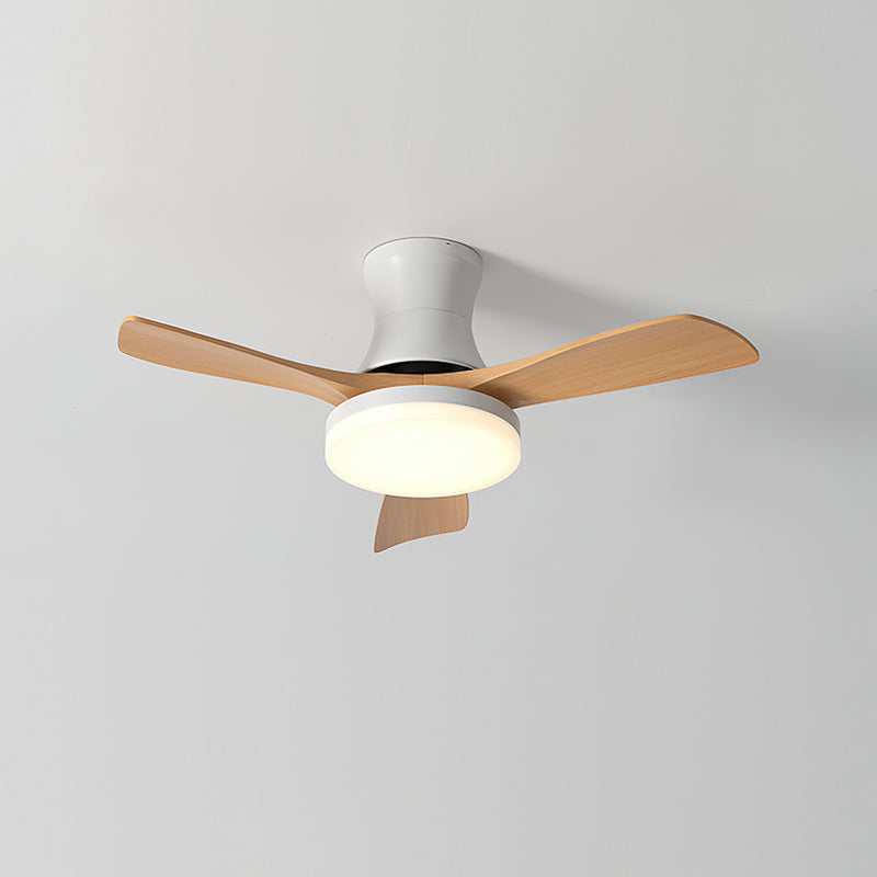 Joreri Ceiling Fan Light