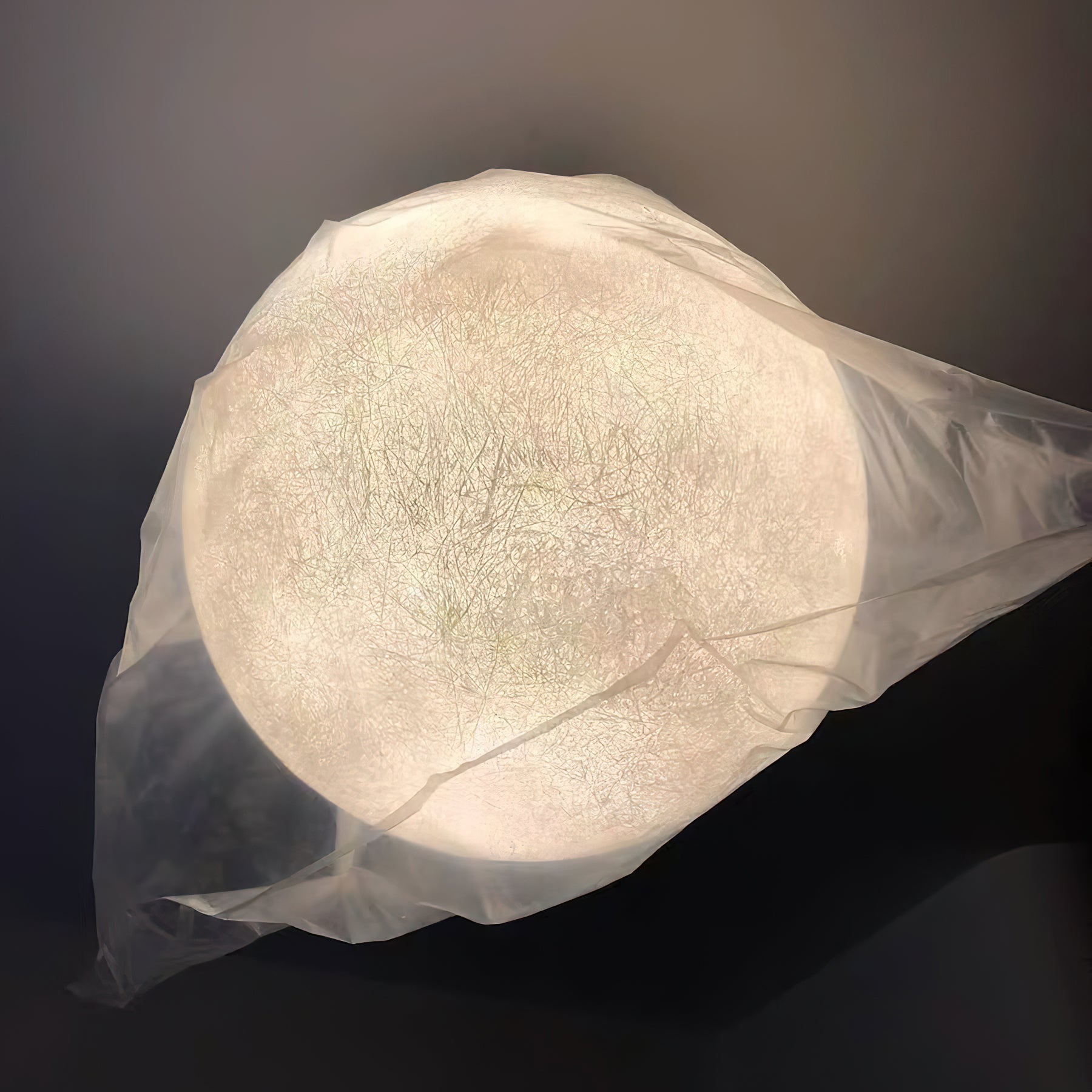 Camu Globe Pendant Light