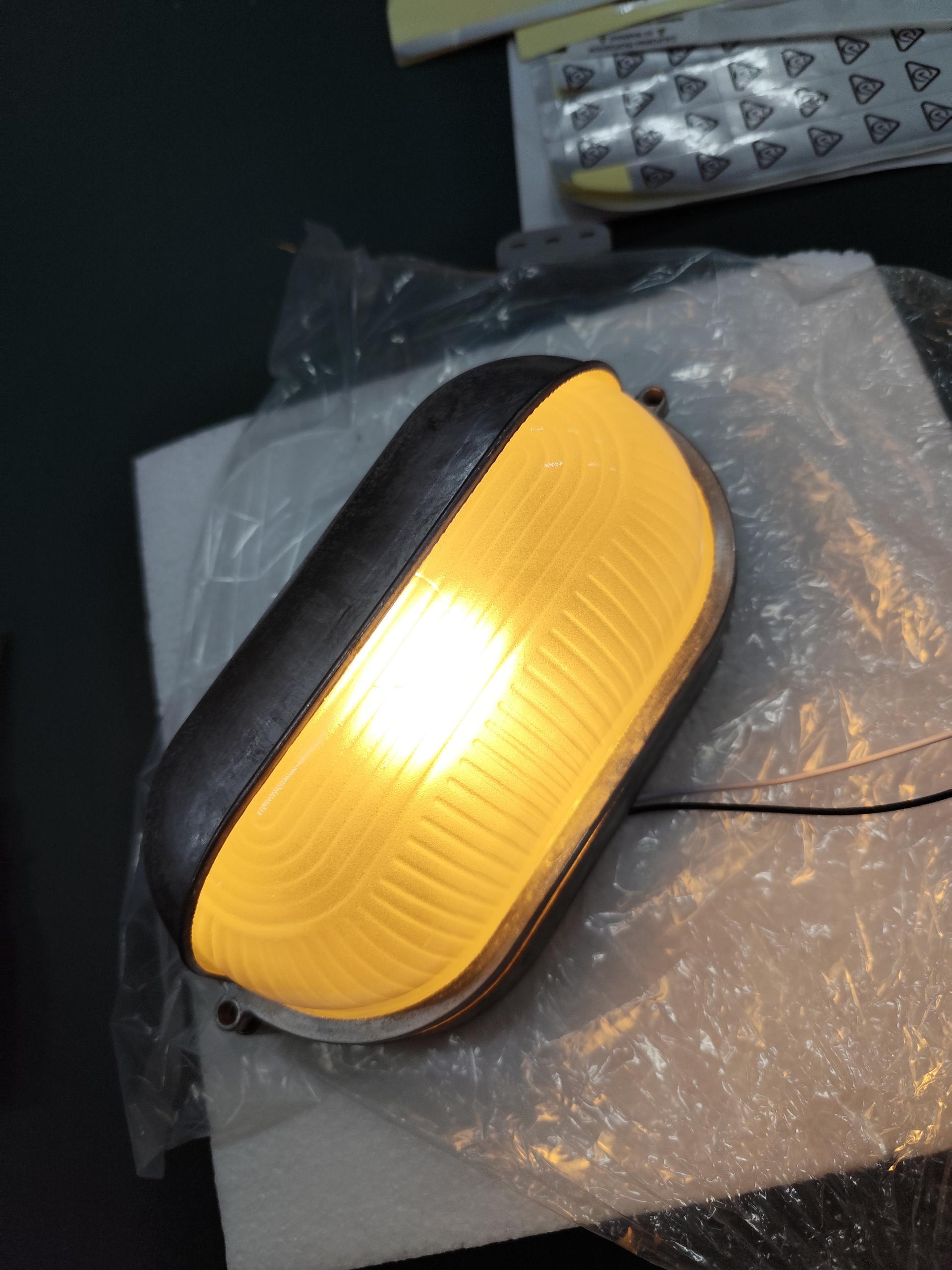 Belaner Outdoor Wall Light