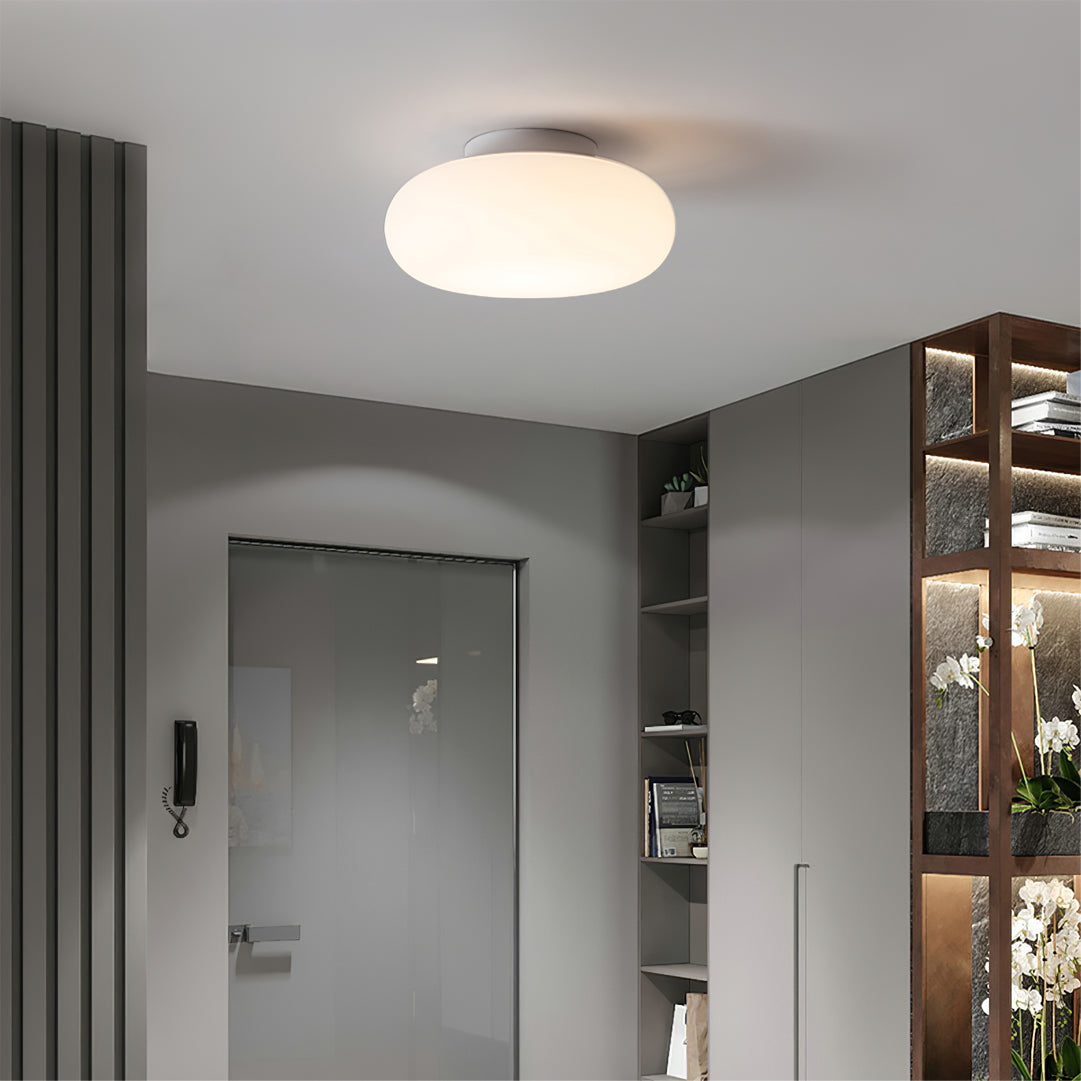 Miraa Ellipsoid Ceiling Light