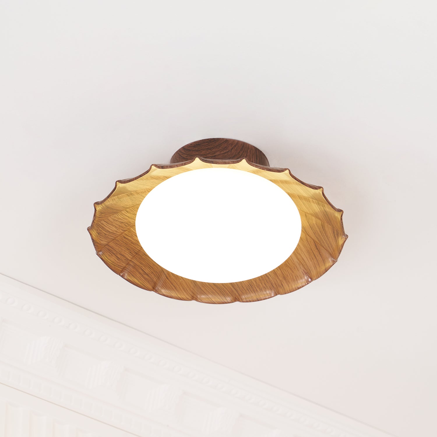Rovevo Ceiling Light