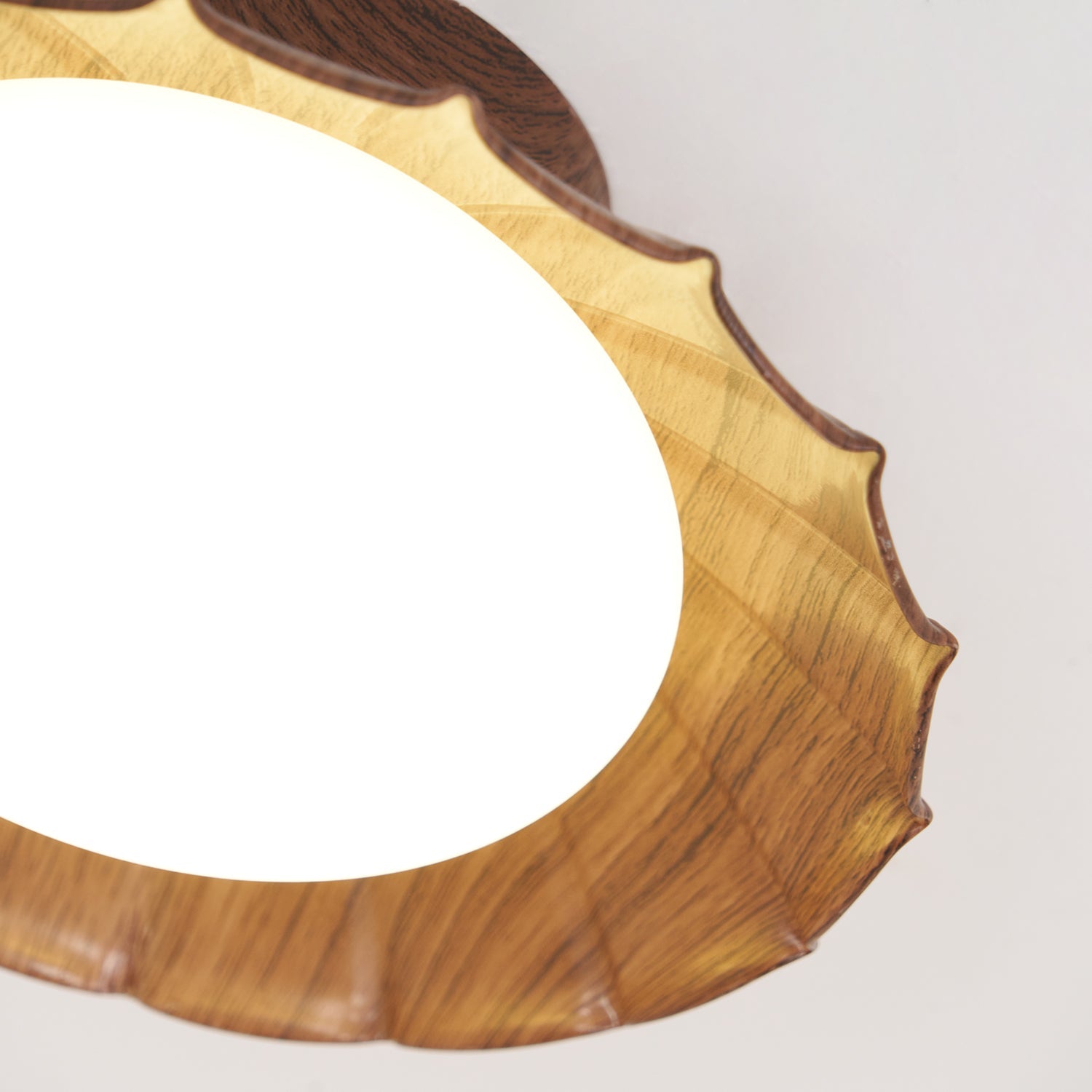 Rovevo Ceiling Light