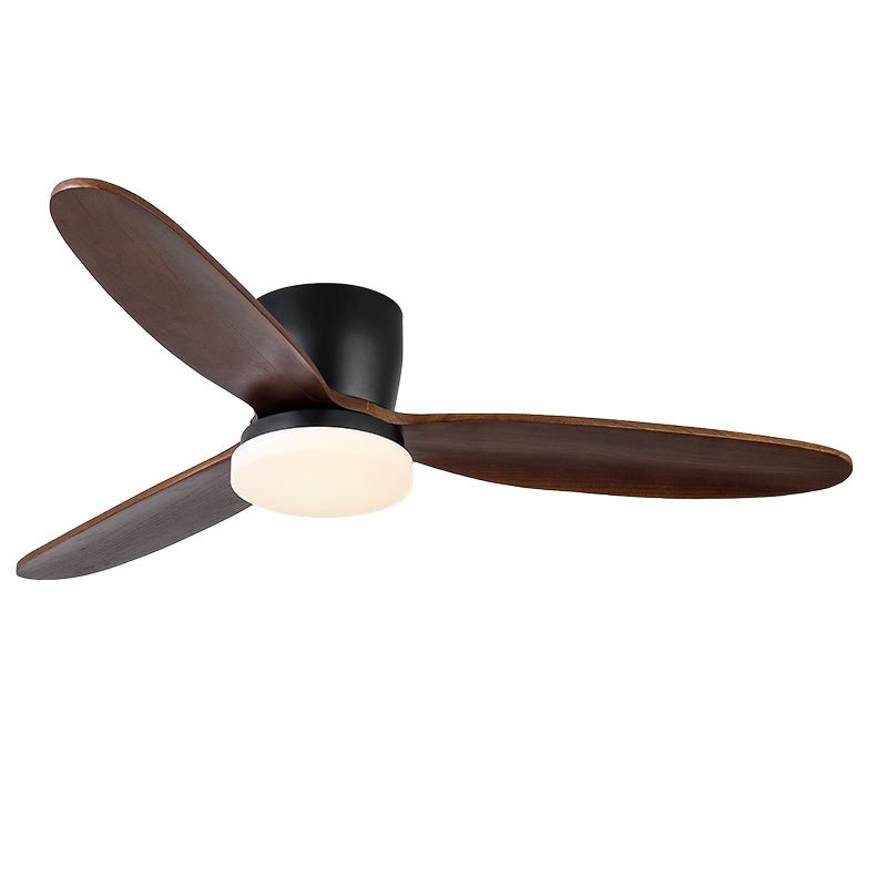 Evenlor Ceiling Fan Light
