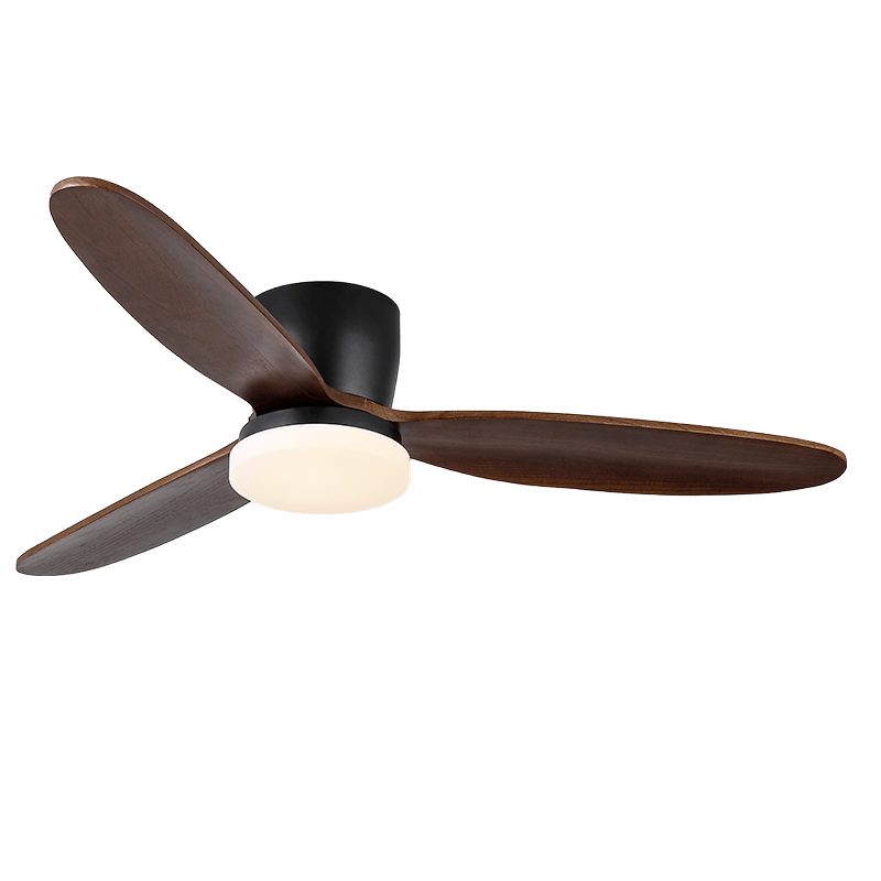 Evenlor Ceiling Fan Light