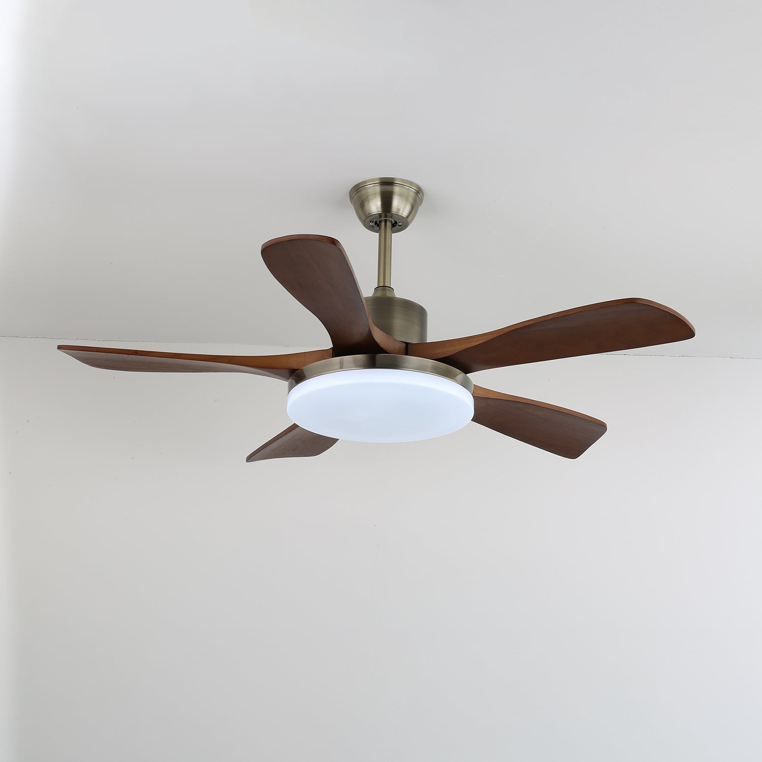 Haleley Ceiling Fan Light