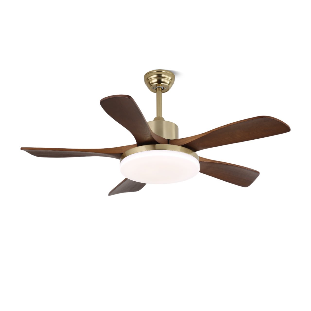 Haleley Ceiling Fan Light