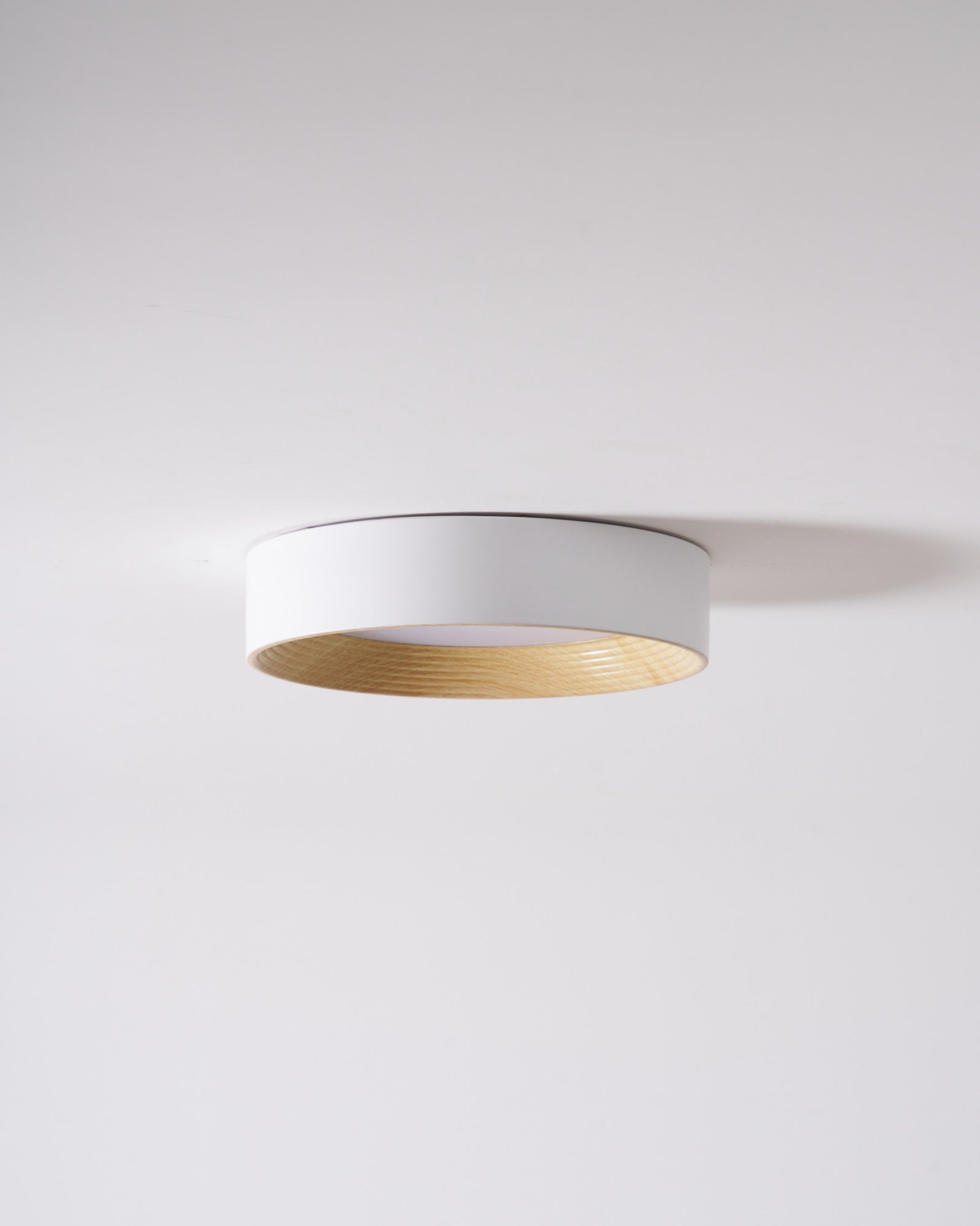 Lerexa Round Ceiling Light