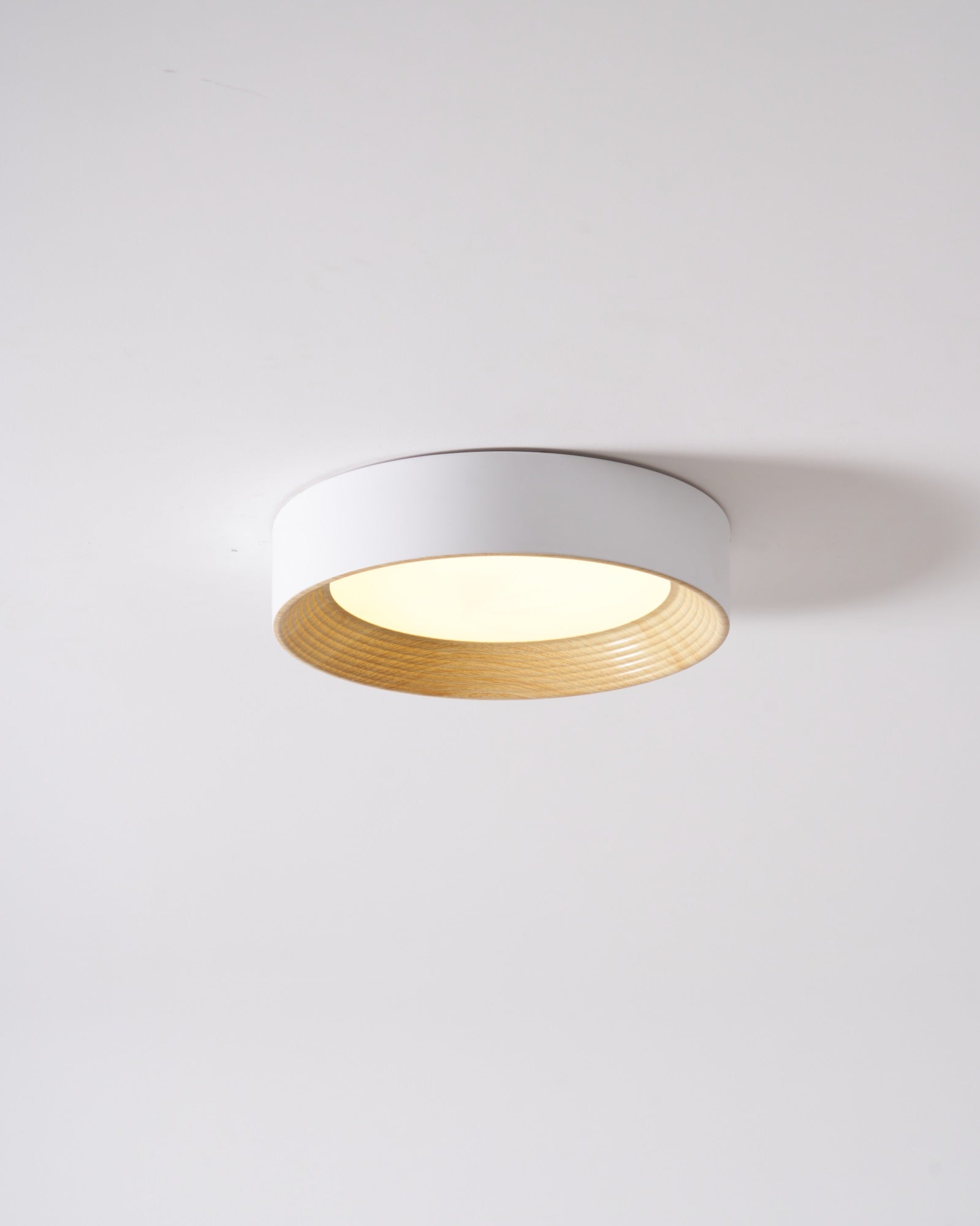 Lerexa Round Ceiling Light