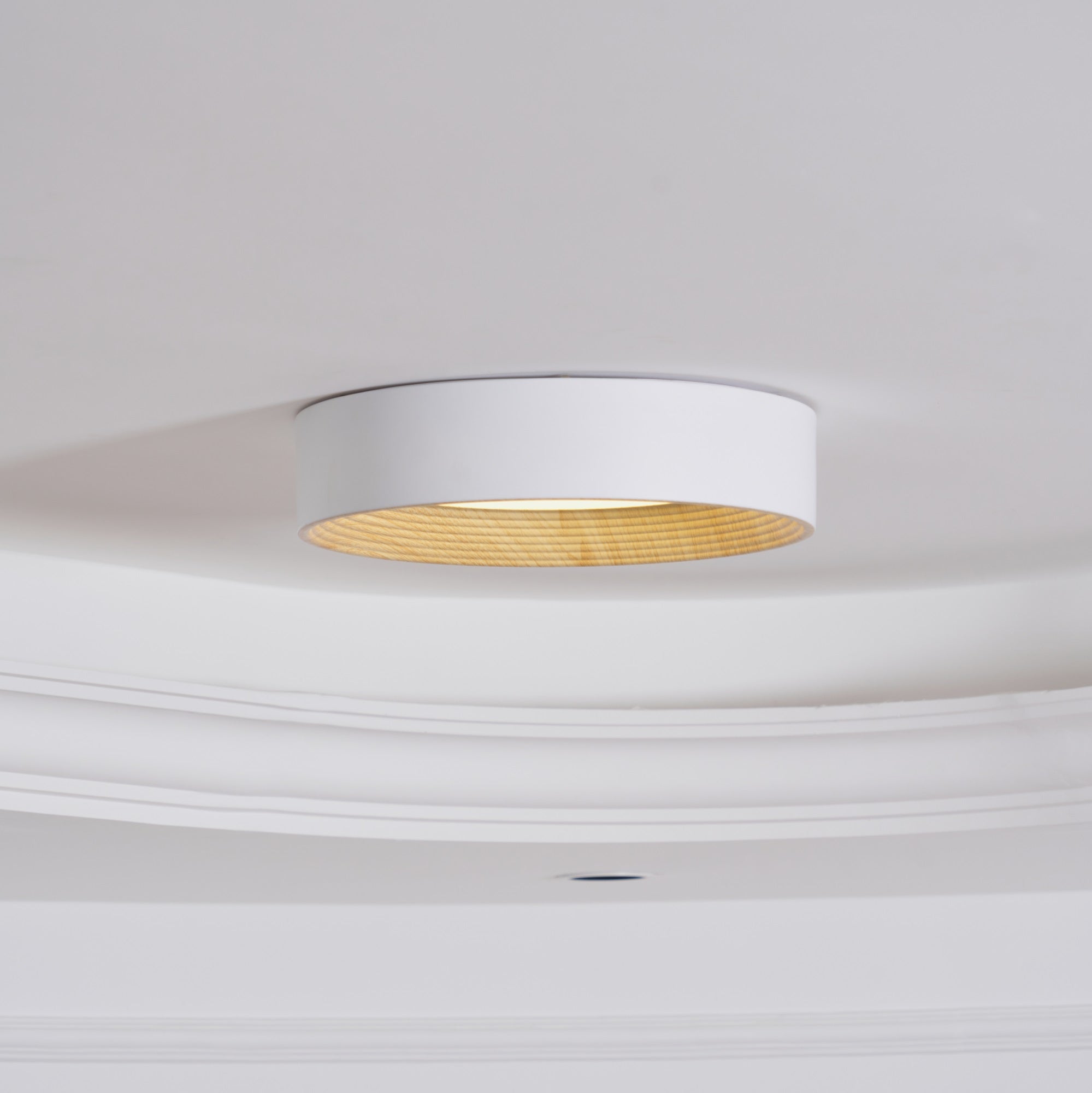 Lerexa Round Ceiling Light