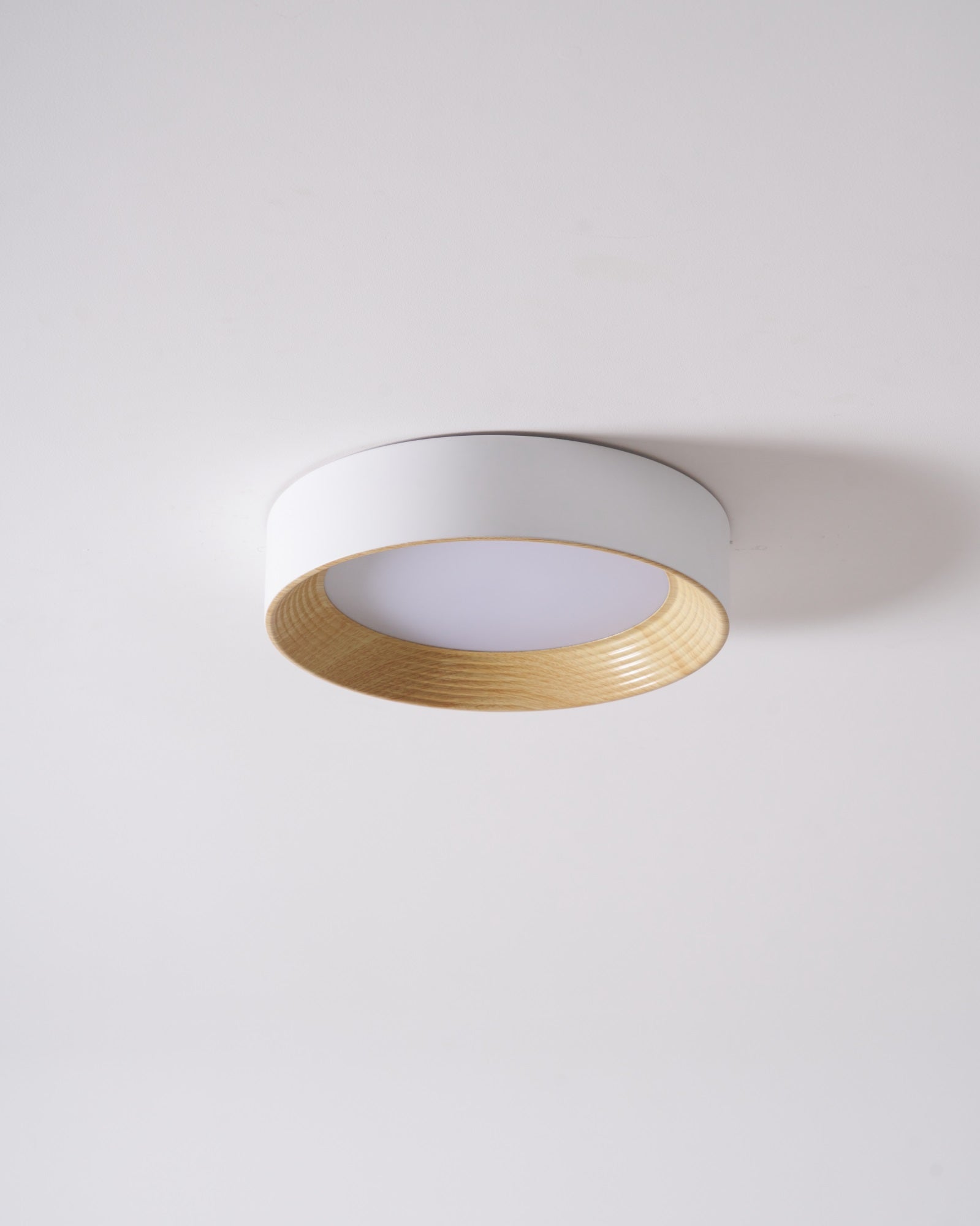 Lerexa Round Ceiling Light