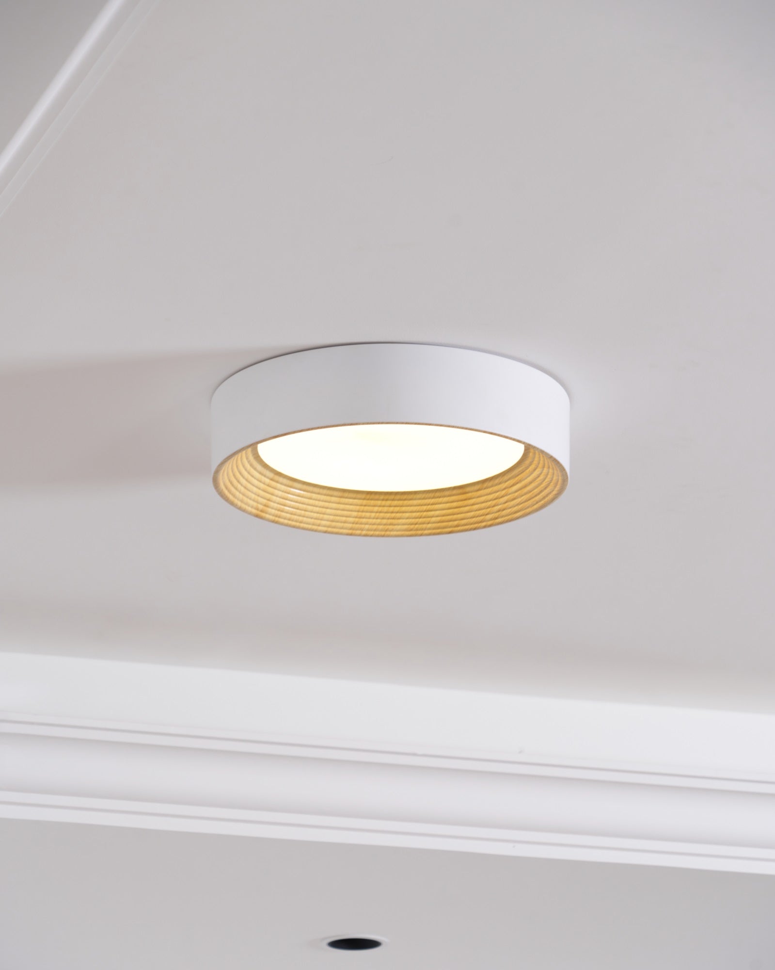 Lerexa Round Ceiling Light