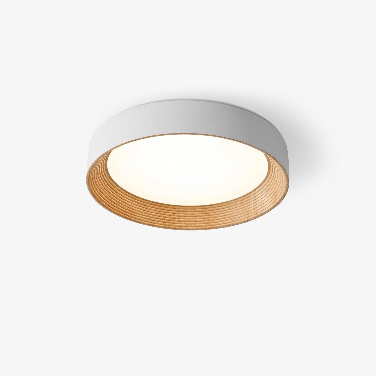 Lerexa Round Ceiling Light