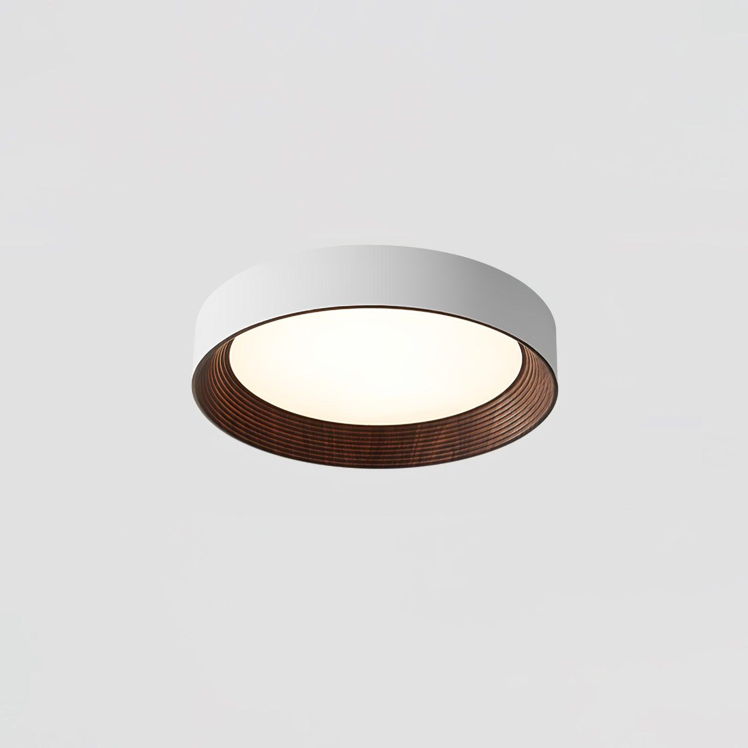 Lerexa Round Ceiling Light