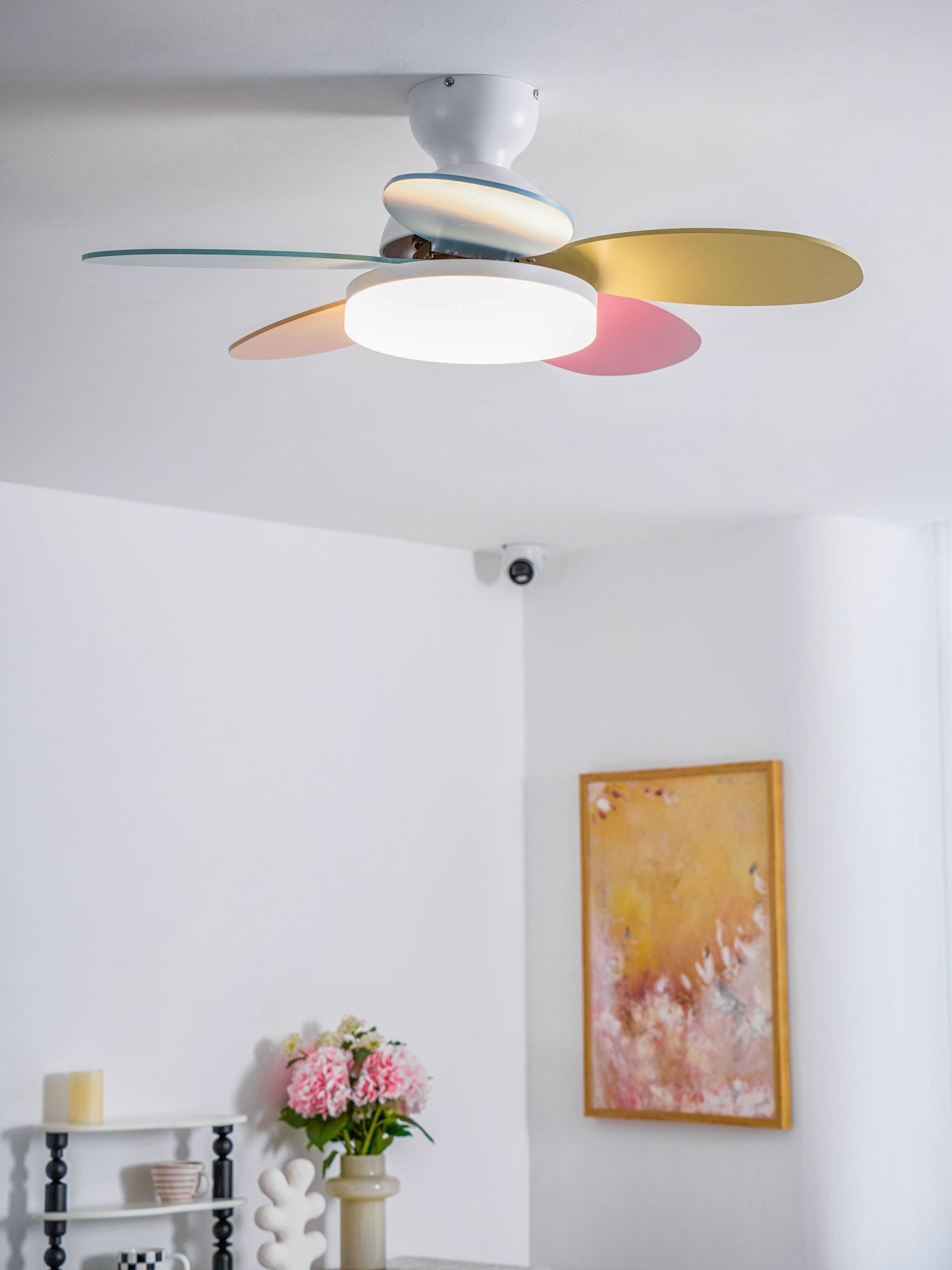 Taliro Ceiling Fan Light