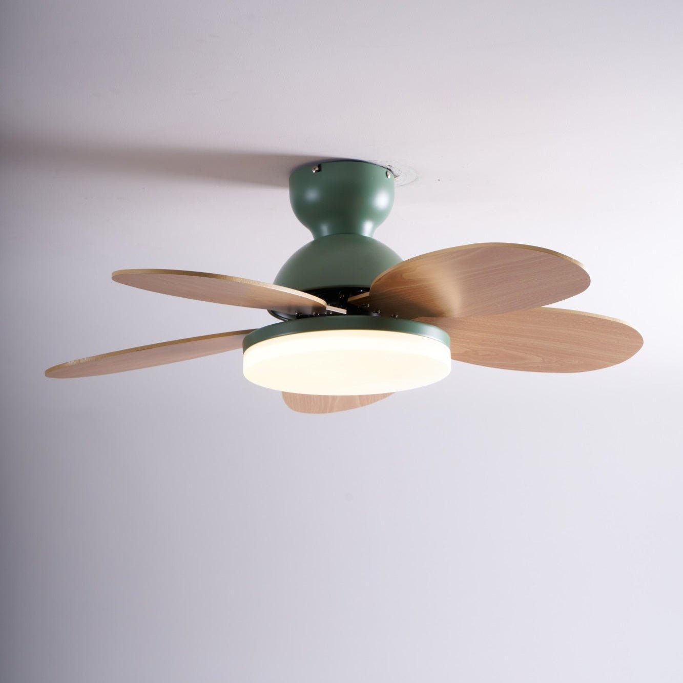 Taliro Ceiling Fan Light