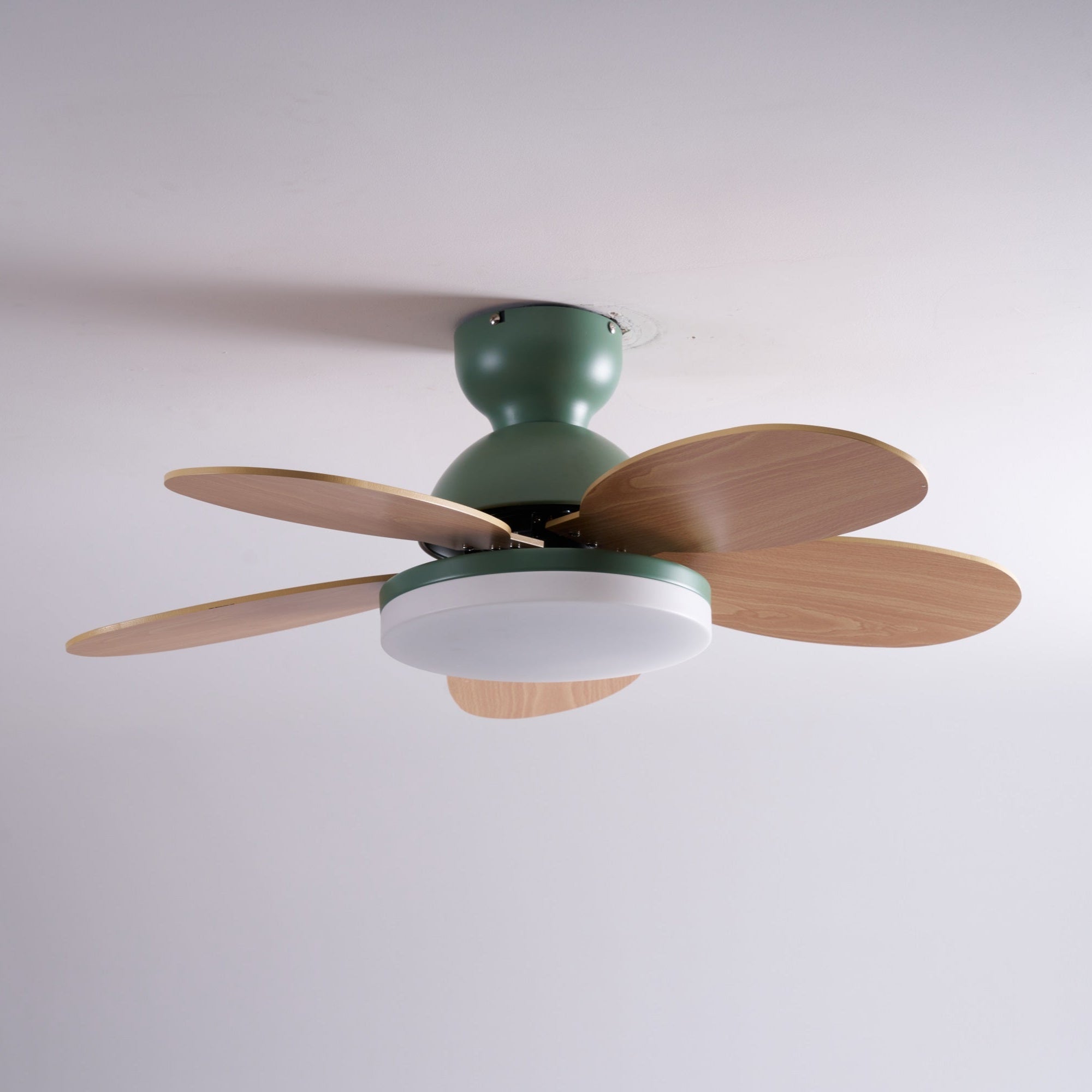 Taliro Ceiling Fan Light