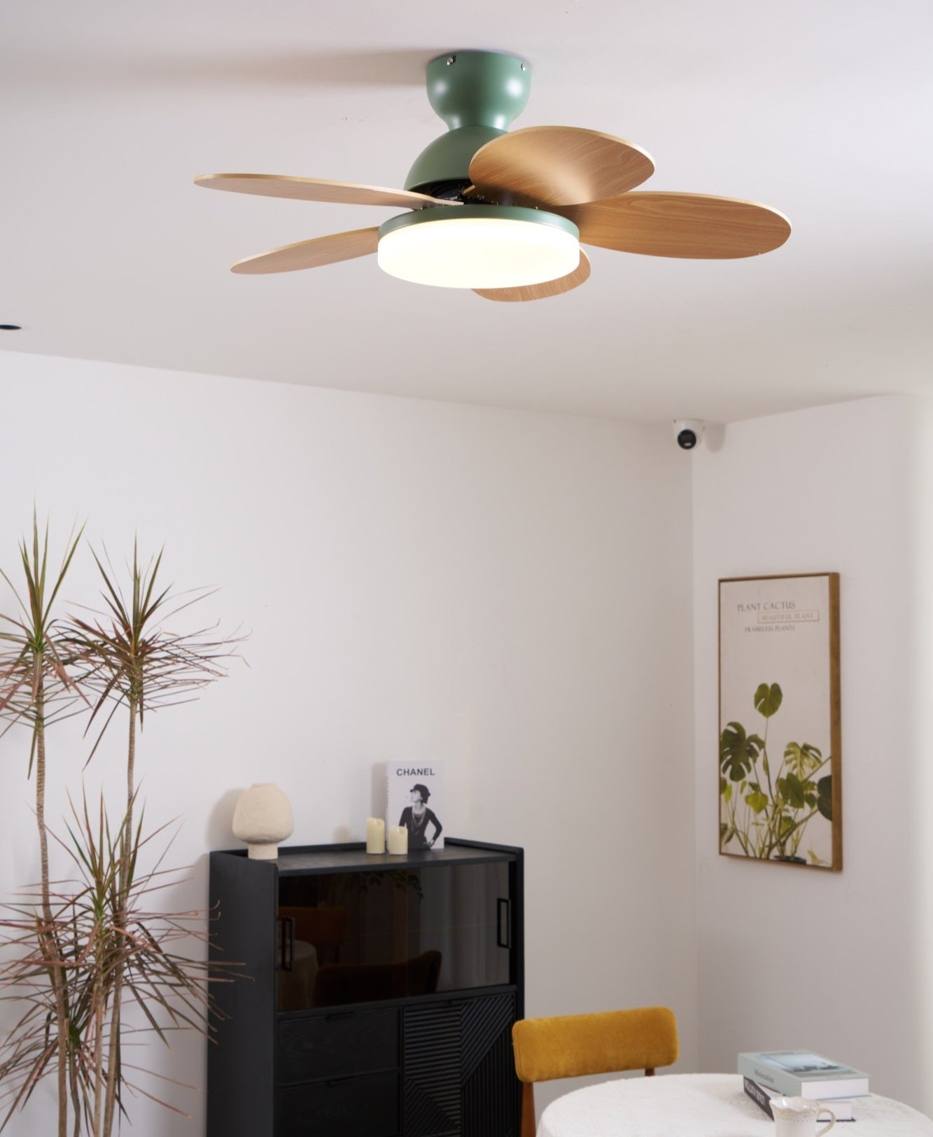 Taliro Ceiling Fan Light