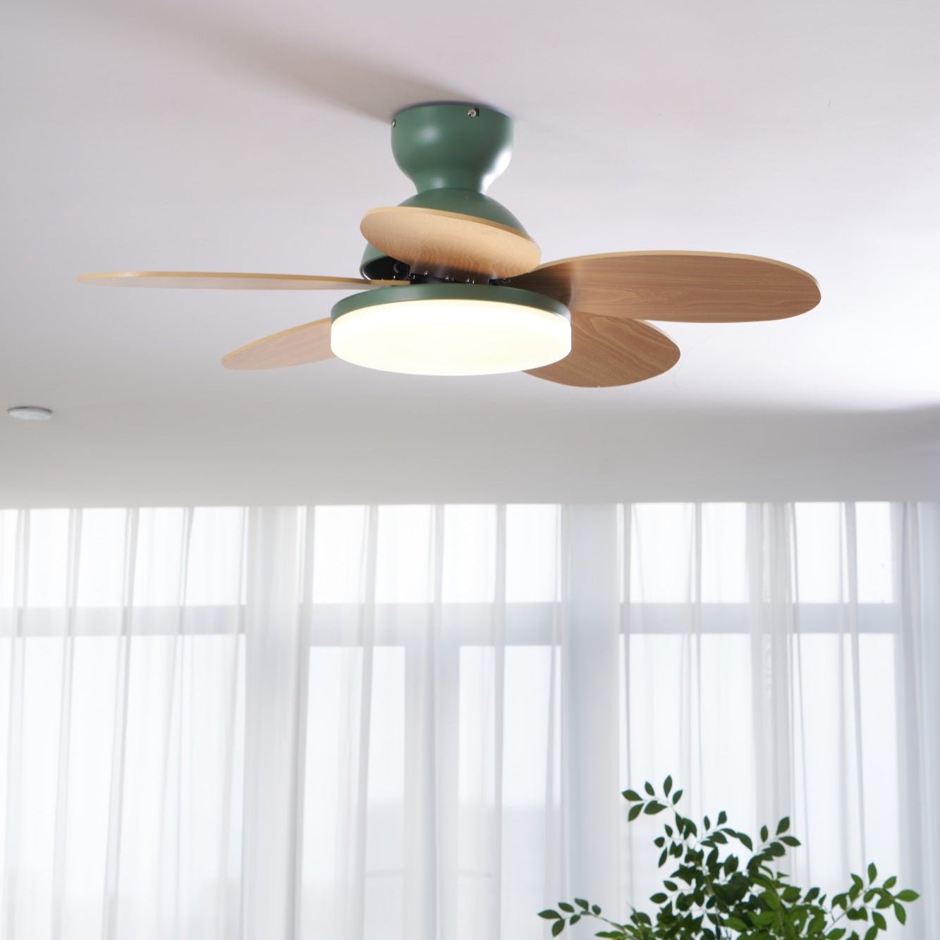 Taliro Ceiling Fan Light