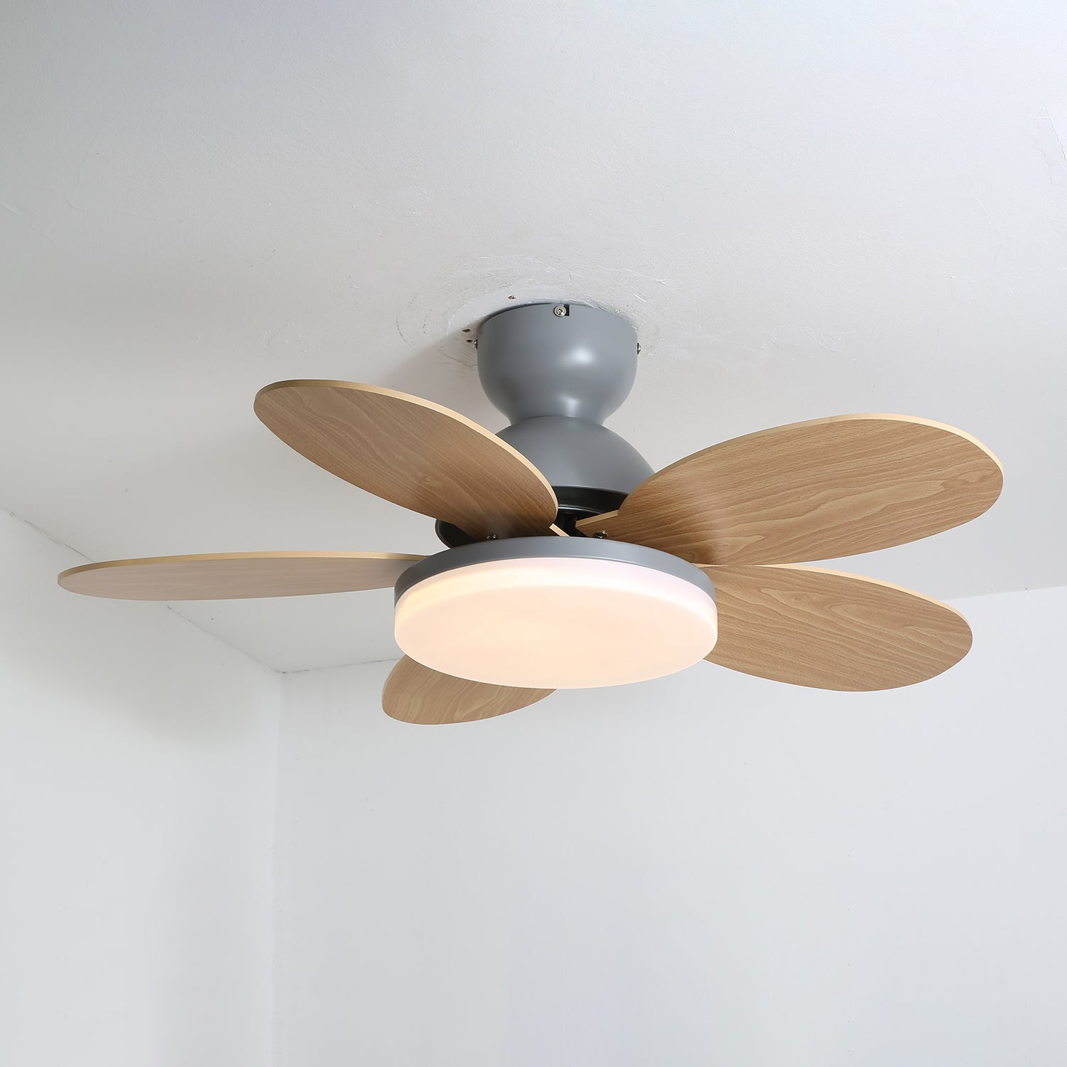 Taliro Ceiling Fan Light