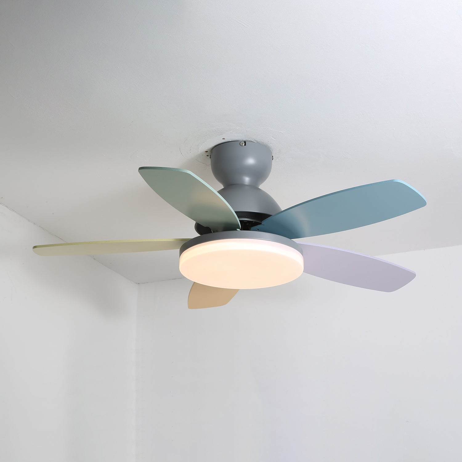 Taliro Ceiling Fan Light