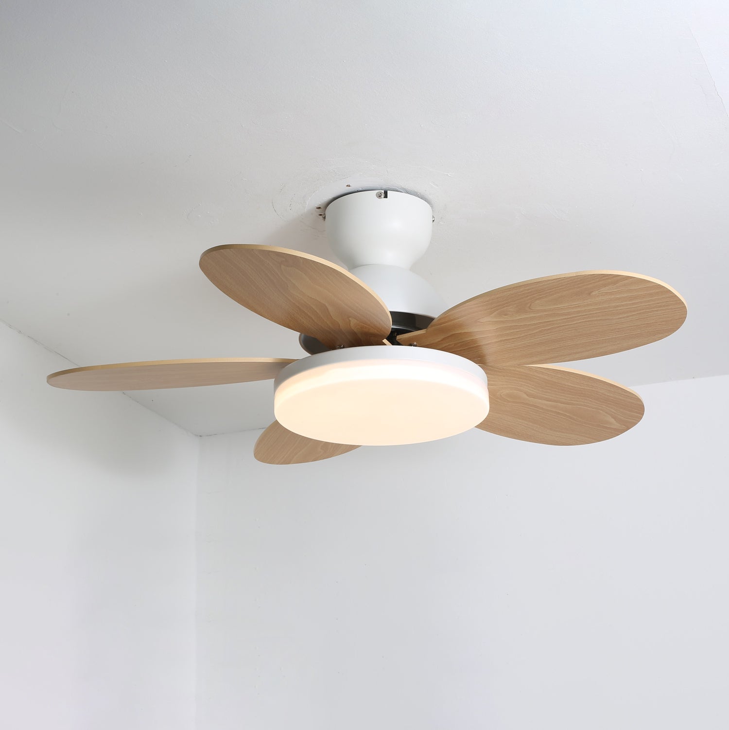 Taliro Ceiling Fan Light