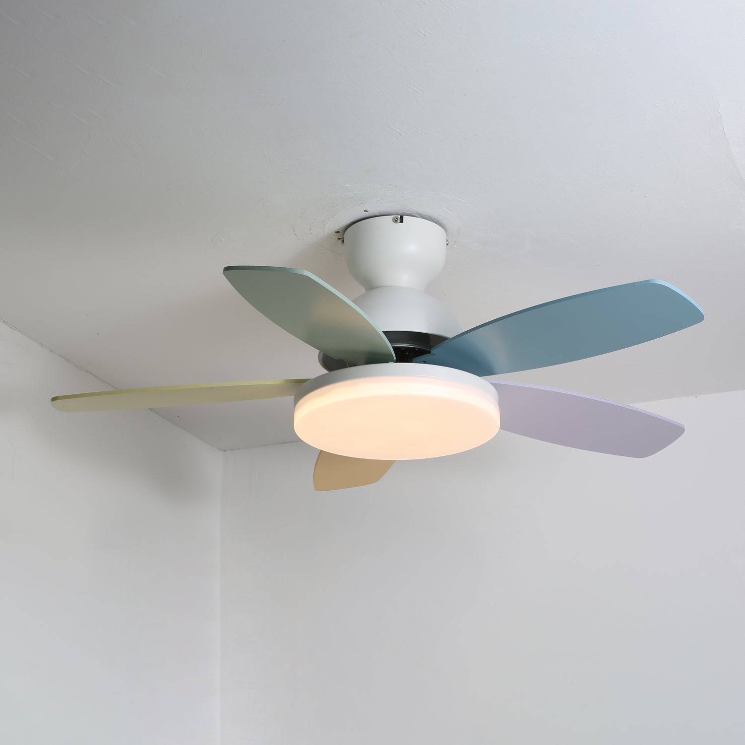 Taliro Ceiling Fan Light
