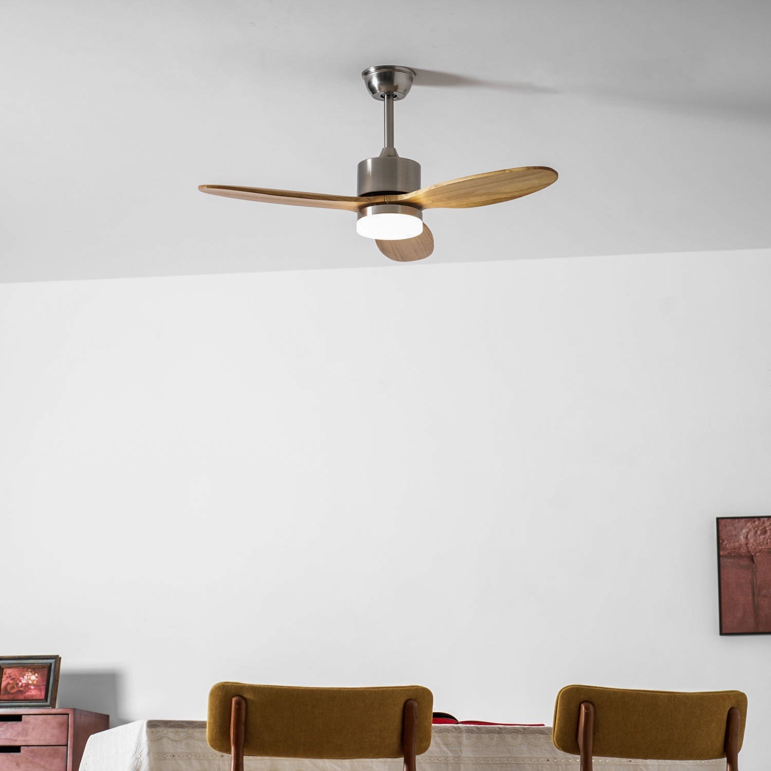 Foxrowell Ceiling Fan Light