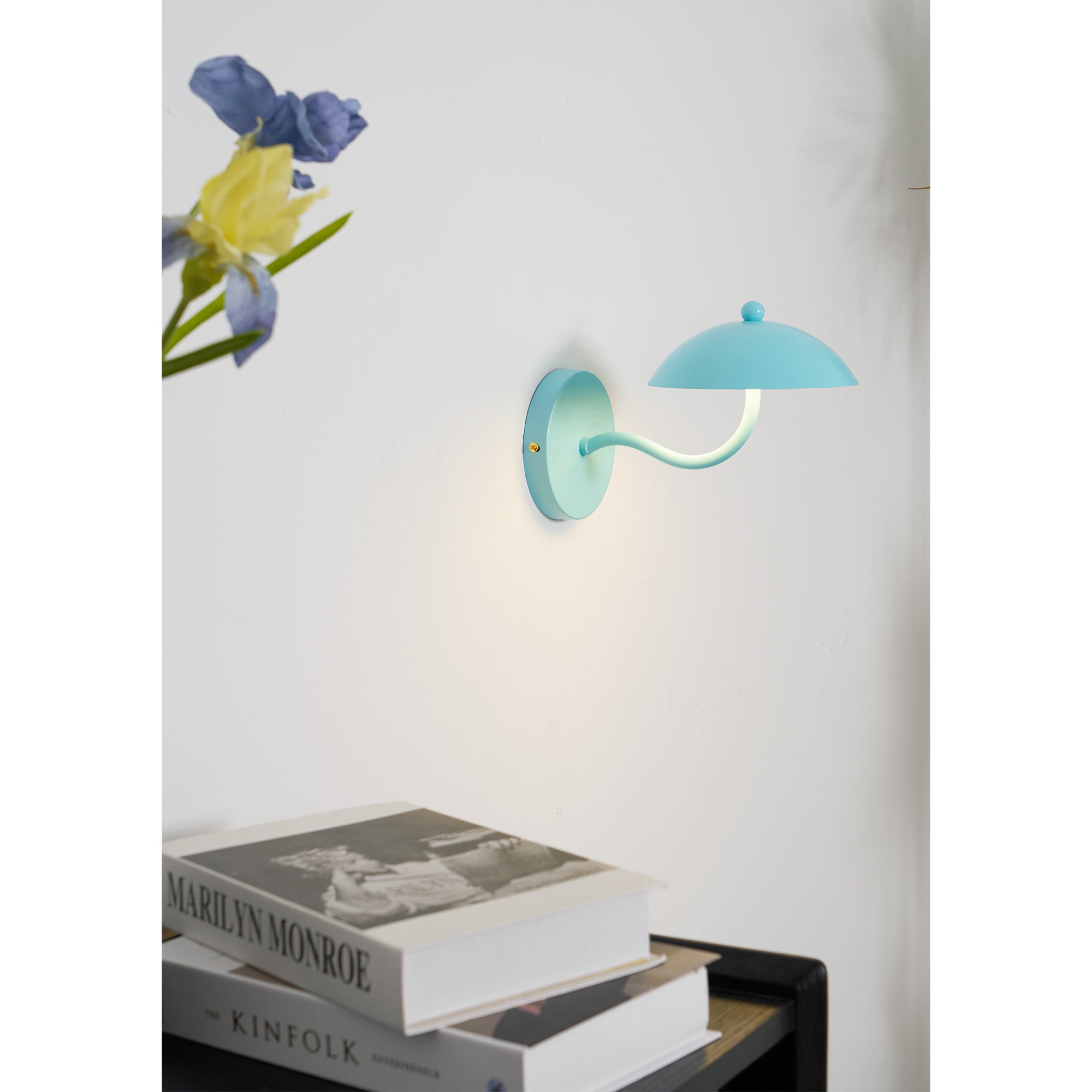 Casnoas Dome Wall Light