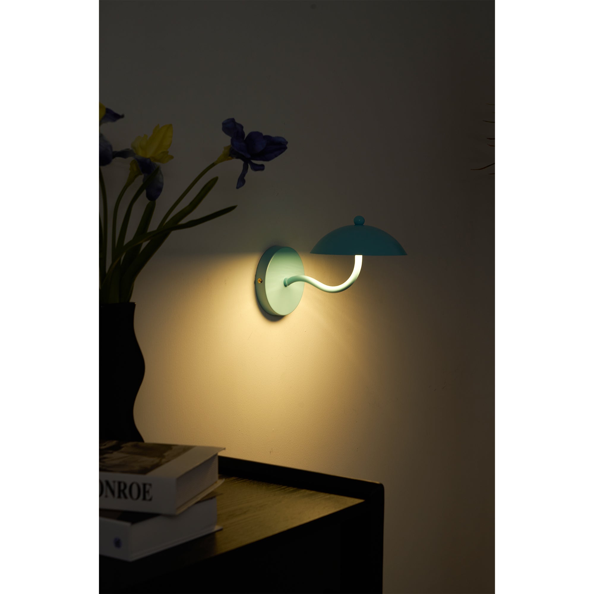 Casnoas Dome Wall Light