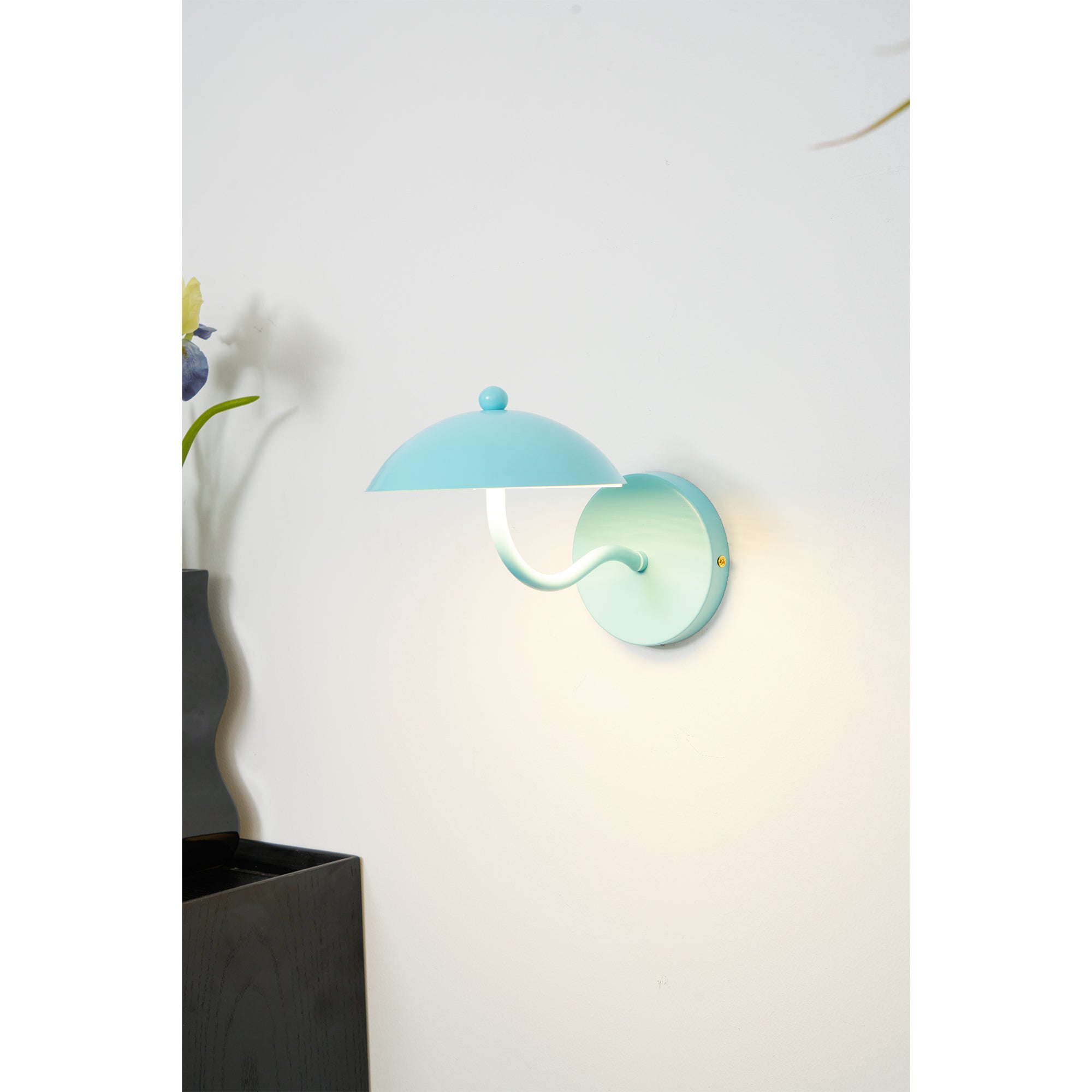 Casnoas Dome Wall Light