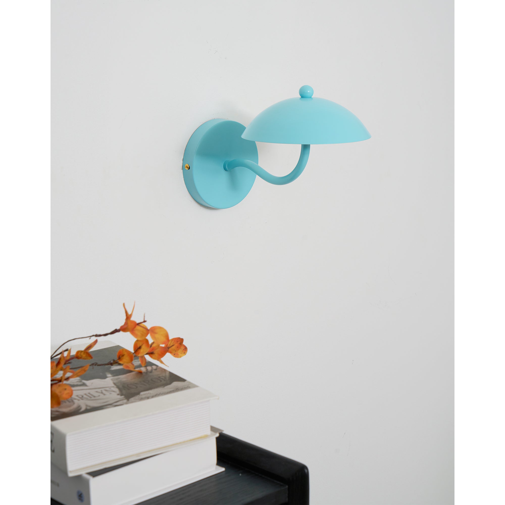 Casnoas Dome Wall Light