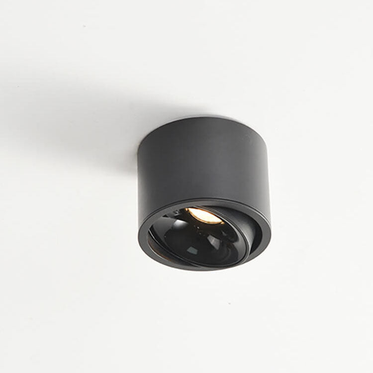 Renma Round Ceiling Light