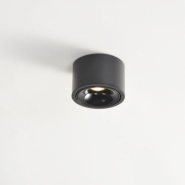 Renma Round Ceiling Light