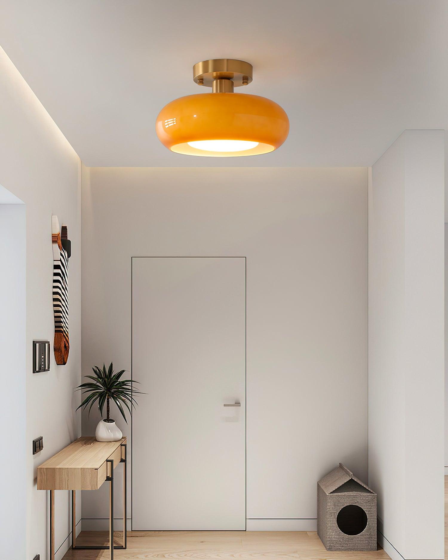 Rioibay Outdoor Ceiling Light