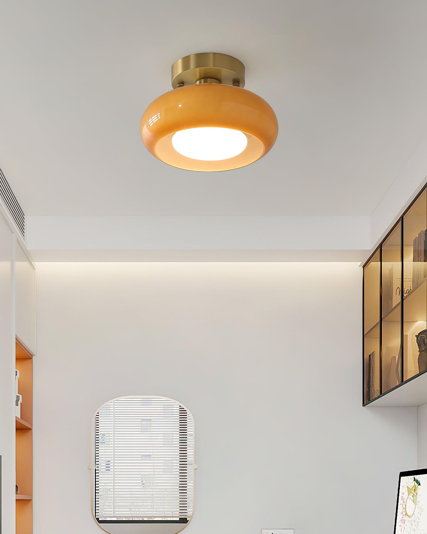 Rioibay Outdoor Ceiling Light