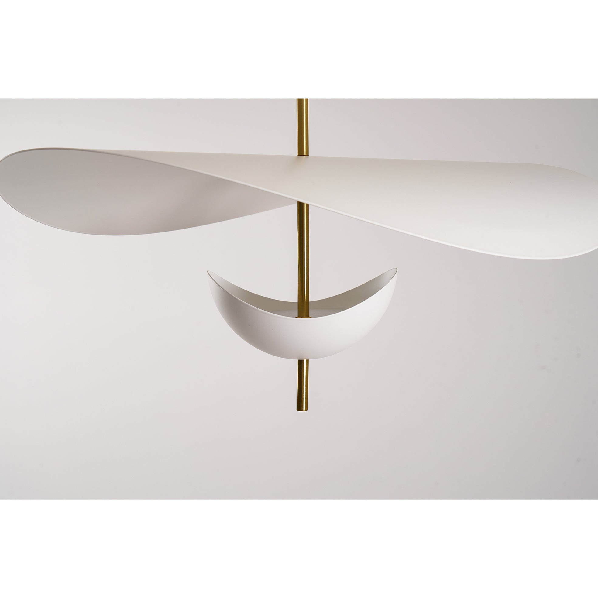 Glenii Sculptural Pendant Light