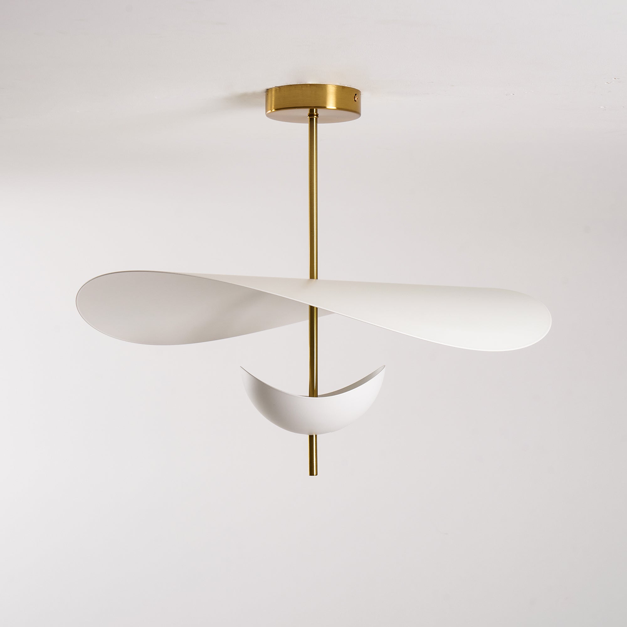 Glenii Sculptural Pendant Light