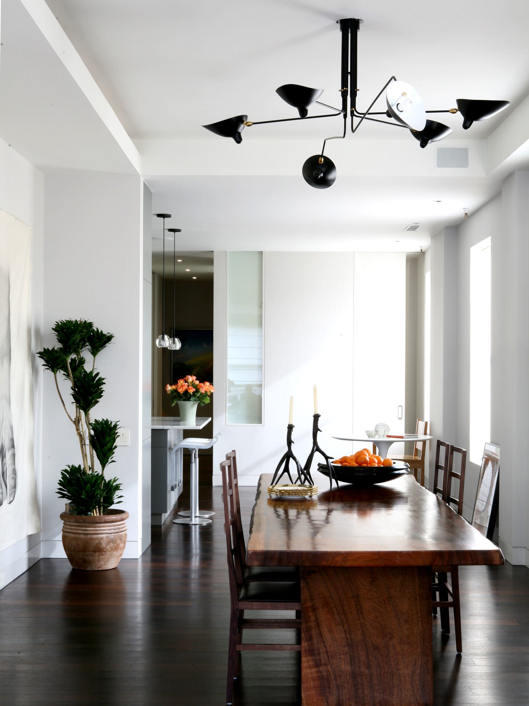 Casley Spider Ceiling Light