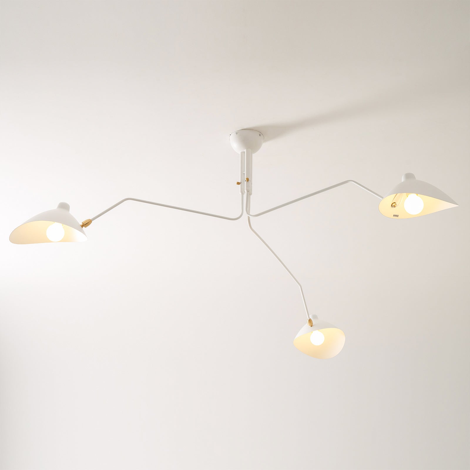 Casley Spider Ceiling Light