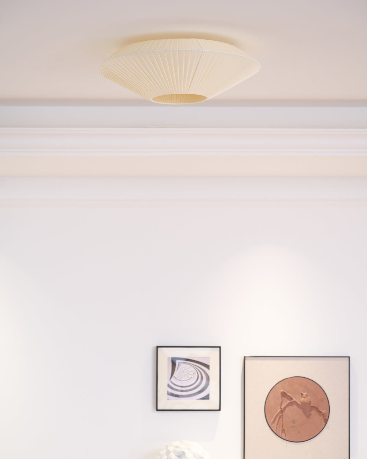 Alnoey Ceiling Light